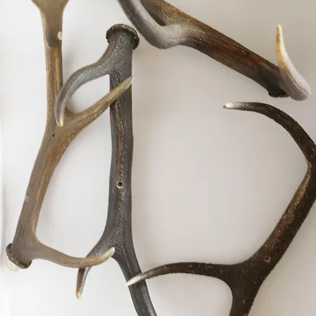 Restaurant Rodizio Paderborn 2*