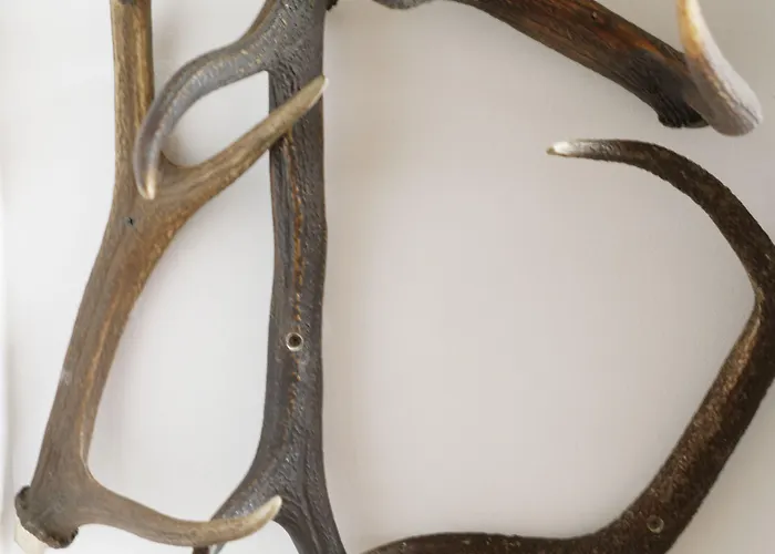 Restaurant Rodizio Paderborn 2*